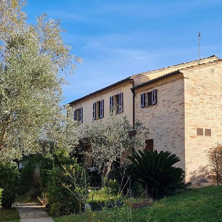 Campofilone Le Residenze Degli Ulivi酒店 外观 照片